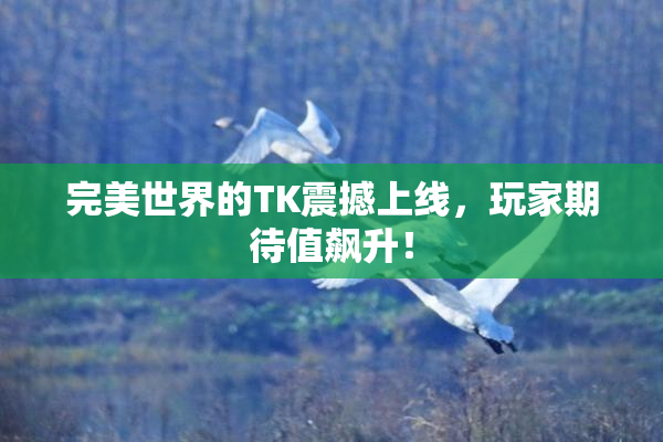 完美世界的TK震撼上线，玩家期待值飙升！