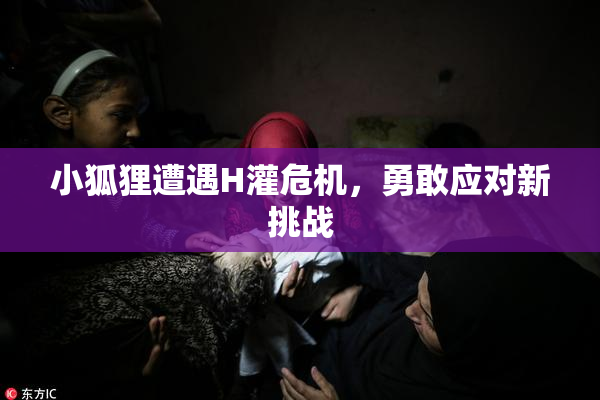 小狐狸遭遇H灌危机，勇敢应对新挑战