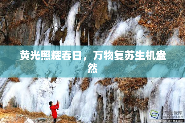 黄光照耀春日，万物复苏生机盎然