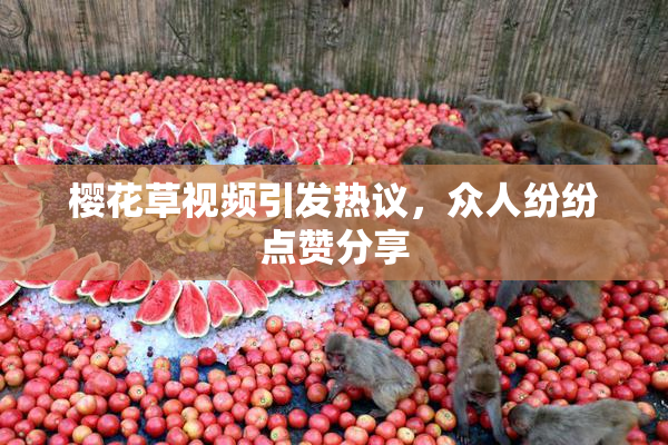 樱花草视频引发热议，众人纷纷点赞分享
