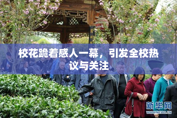 校花跪着感人一幕，引发全校热议与关注