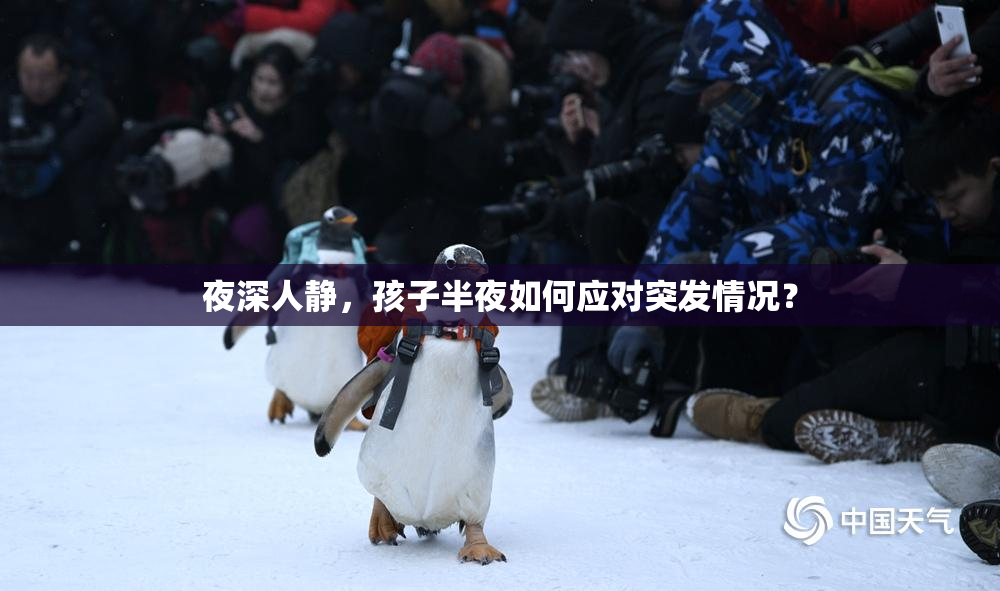夜深人静，孩子半夜如何应对突发情况？