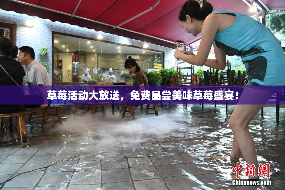 草莓活动大放送，免费品尝美味草莓盛宴！