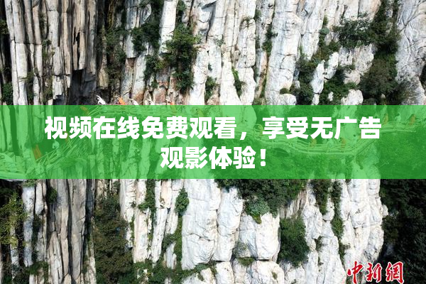 视频在线免费观看，享受无广告观影体验！