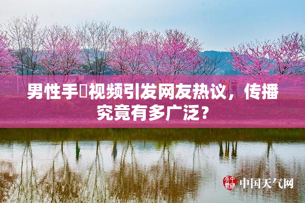 男性手婬视频引发网友热议，传播究竟有多广泛？