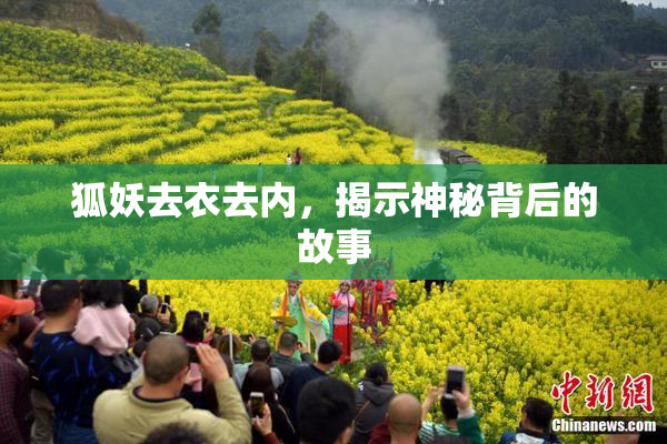 狐妖去衣去内，揭示神秘背后的故事