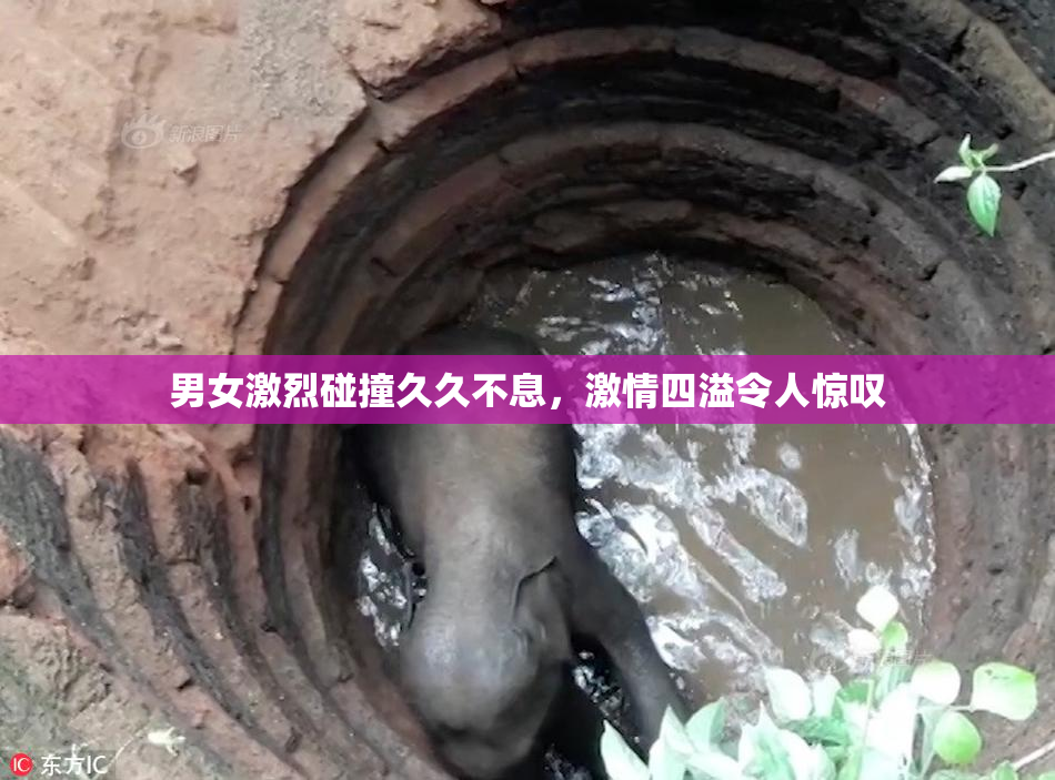 男女激烈碰撞久久不息，激情四溢令人惊叹
