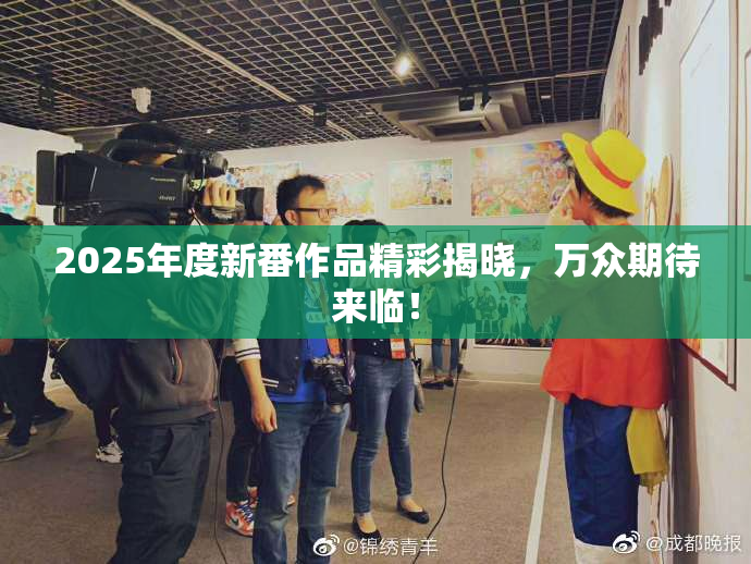 2025年度新番作品精彩揭晓，万众期待来临！