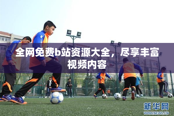 全网免费b站资源大全，尽享丰富视频内容