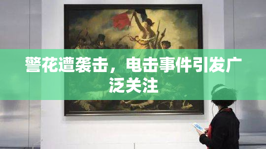 警花遭袭击，电击事件引发广泛关注