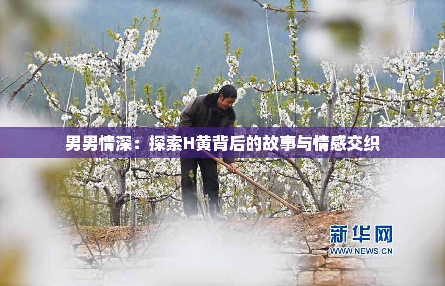男男情深：探索H黄背后的故事与情感交织