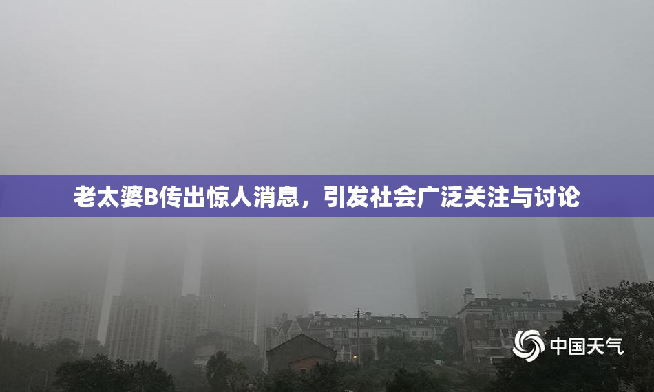 老太婆B传出惊人消息，引发社会广泛关注与讨论