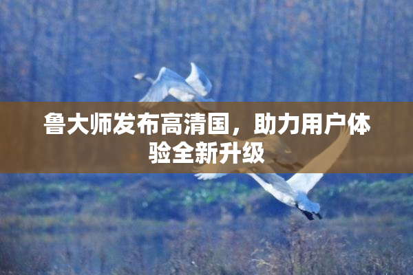 鲁大师发布高清国，助力用户体验全新升级