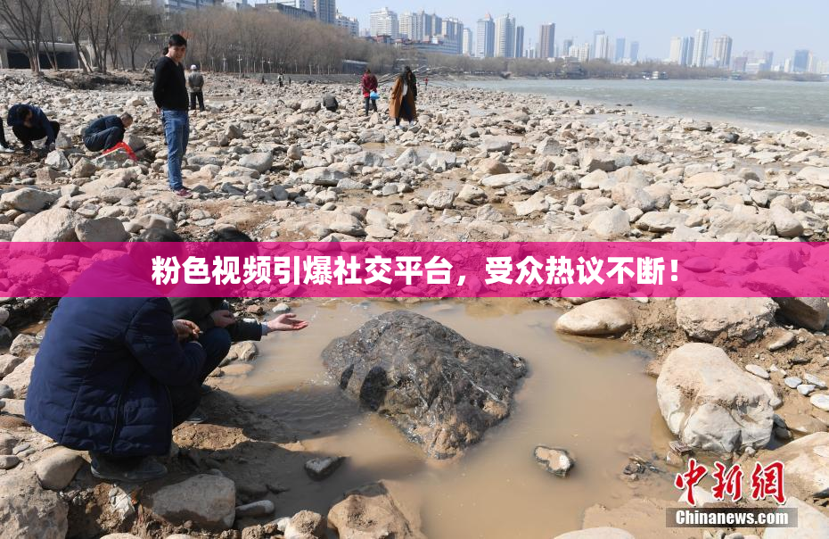 粉色视频引爆社交平台，受众热议不断！