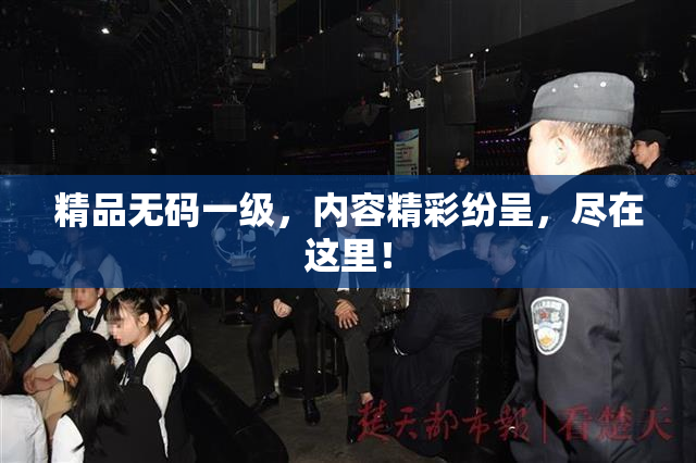 精品无码一级，内容精彩纷呈，尽在这里！