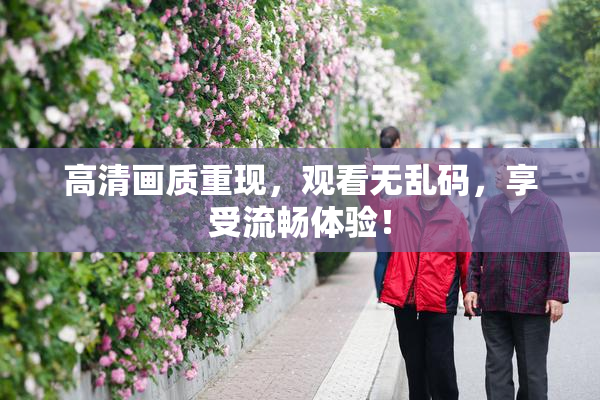 高清画质重现，观看无乱码，享受流畅体验！