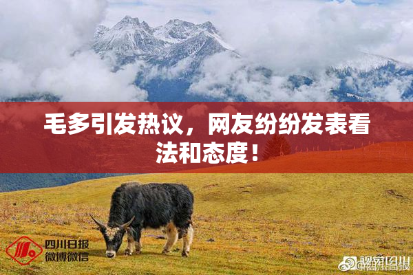 毛多引发热议，网友纷纷发表看法和态度！