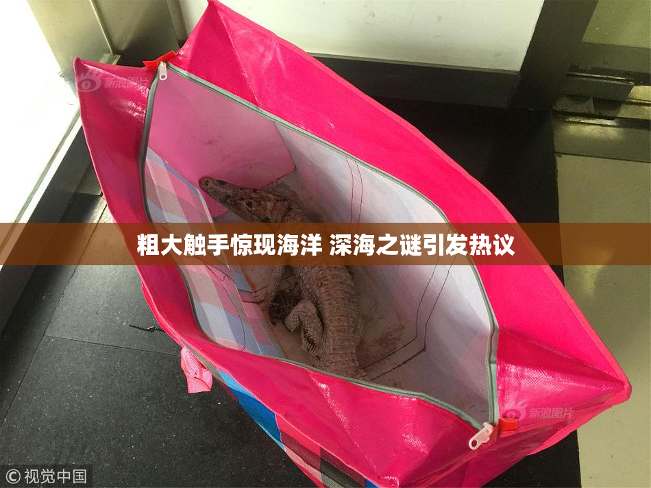 粗大触手惊现海洋 深海之谜引发热议