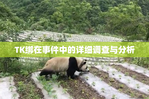 TK绑在事件中的详细调查与分析