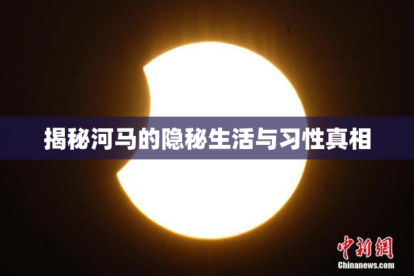 揭秘河马的隐秘生活与习性真相
