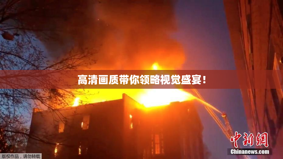 高清画质带你领略视觉盛宴！