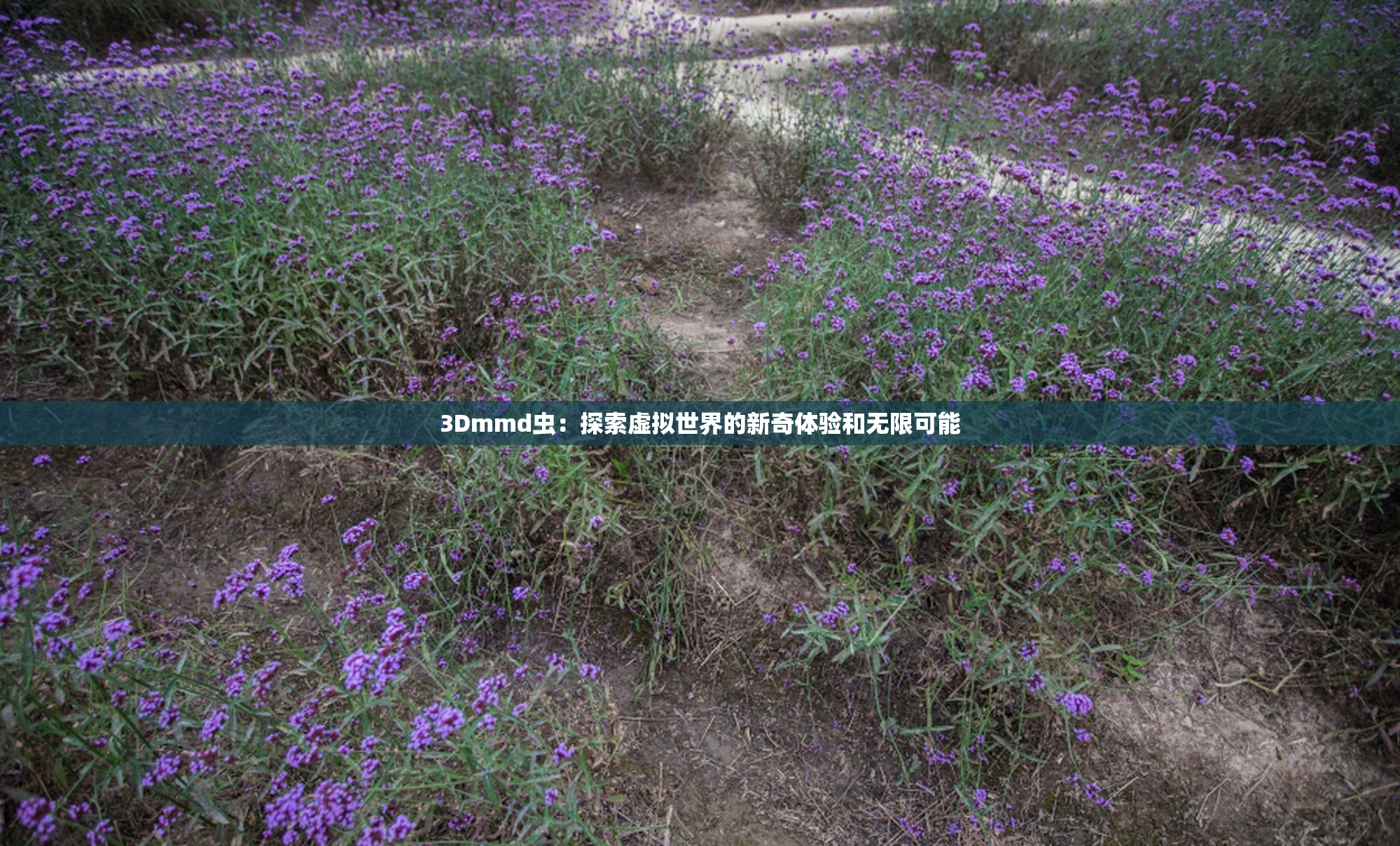 3Dmmd虫：探索虚拟世界的新奇体验和无限可能