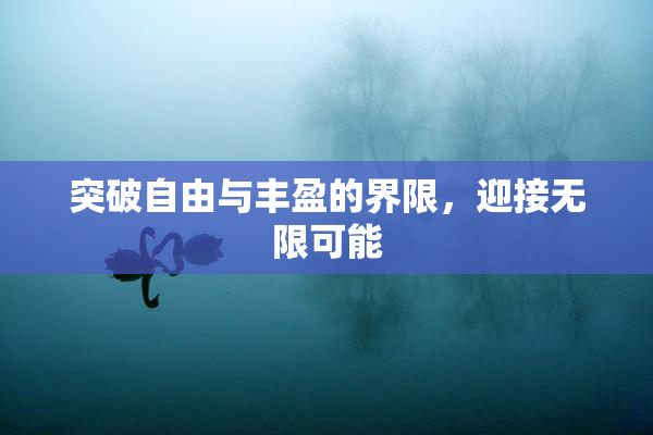 突破自由与丰盈的界限，迎接无限可能