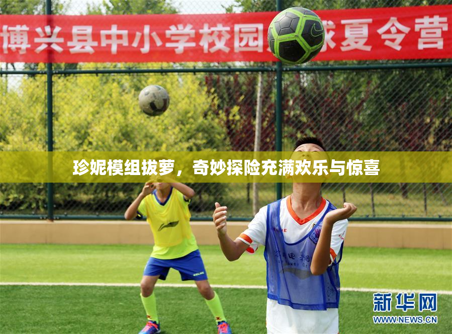 珍妮模组拔萝，奇妙探险充满欢乐与惊喜