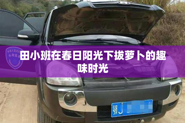 田小班在春日阳光下拔萝卜的趣味时光