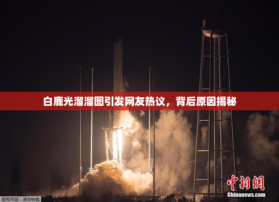 白鹿光溜溜图引发网友热议，背后原因揭秘