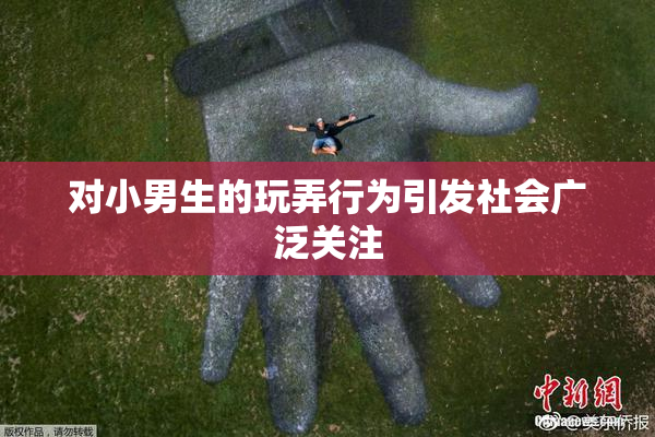 对小男生的玩弄行为引发社会广泛关注