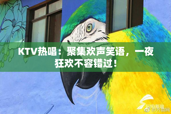 KTV热唱：聚集欢声笑语，一夜狂欢不容错过！