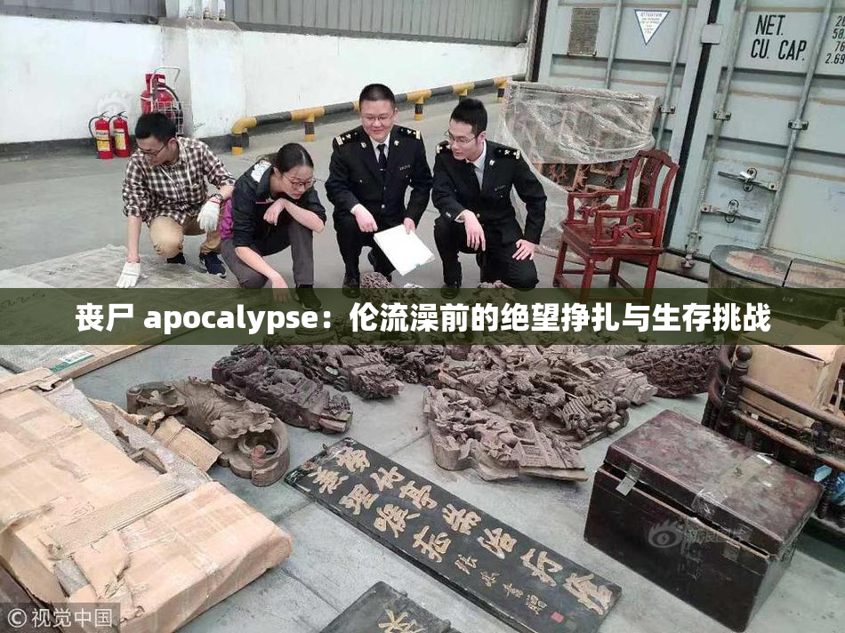丧尸 apocalypse：伦流澡前的绝望挣扎与生存挑战