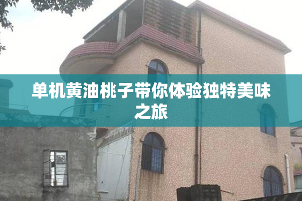 单机黄油桃子带你体验独特美味之旅