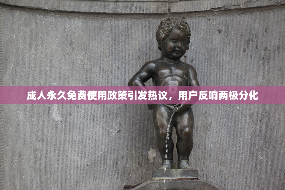 成人永久免费使用政策引发热议，用户反响两极分化