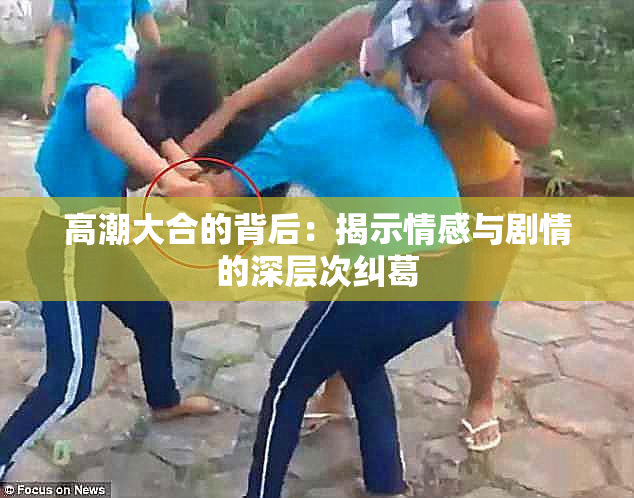高潮大合的背后：揭示情感与剧情的深层次纠葛