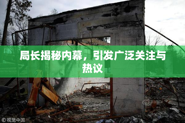 局长揭秘内幕，引发广泛关注与热议