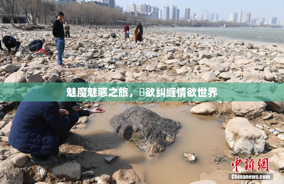 魅魔魅惑之旅，婬欲纠缠情欲世界