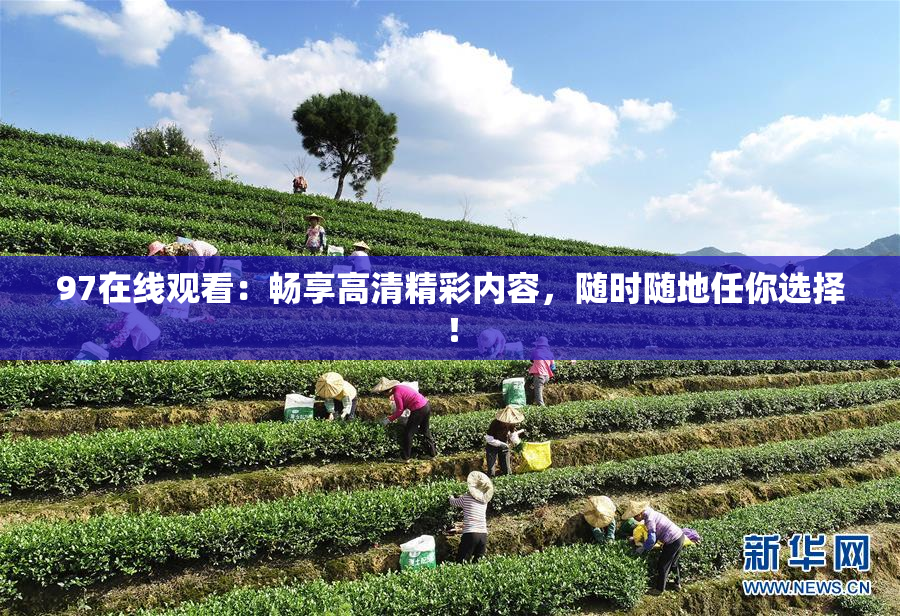 97在线观看：畅享高清精彩内容，随时随地任你选择！