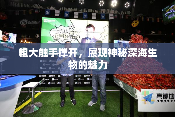 粗大触手撑开，展现神秘深海生物的魅力