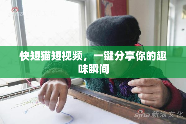 快短猫短视频，一键分享你的趣味瞬间