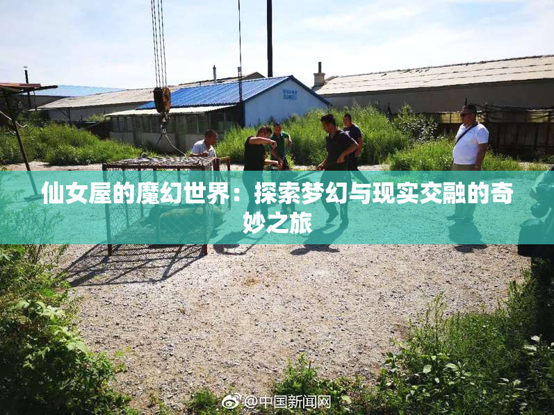 仙女屋的魔幻世界：探索梦幻与现实交融的奇妙之旅