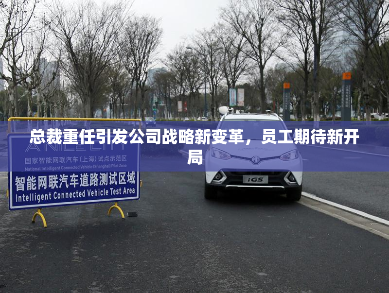 总裁重任引发公司战略新变革，员工期待新开局