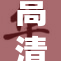 高清猫咪配对图鉴，让你一窥猫咪世界的魅力