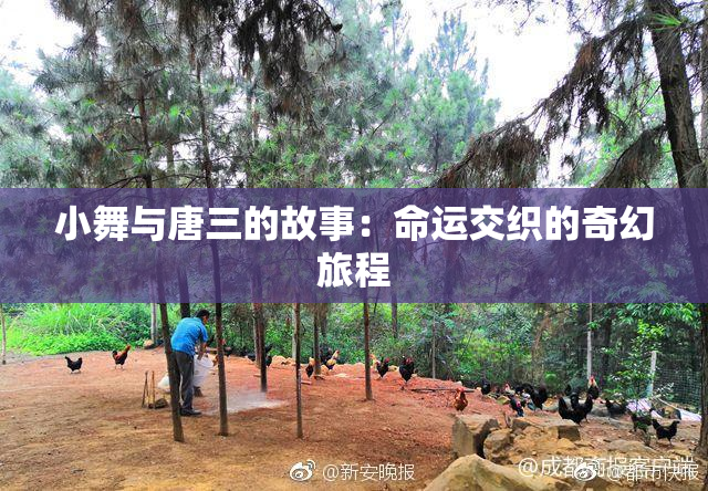 小舞与唐三的故事：命运交织的奇幻旅程