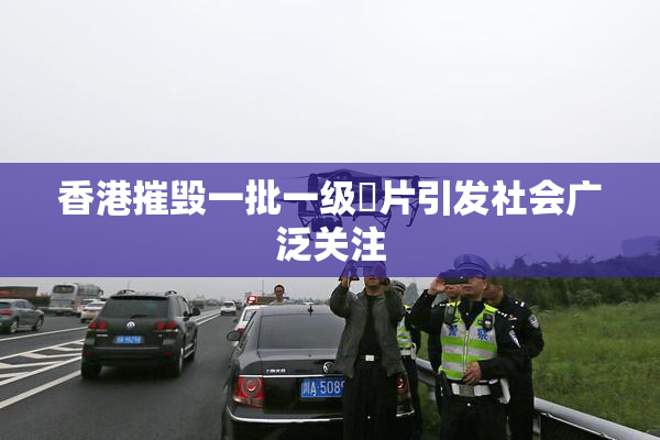 香港摧毁一批一级婬片引发社会广泛关注