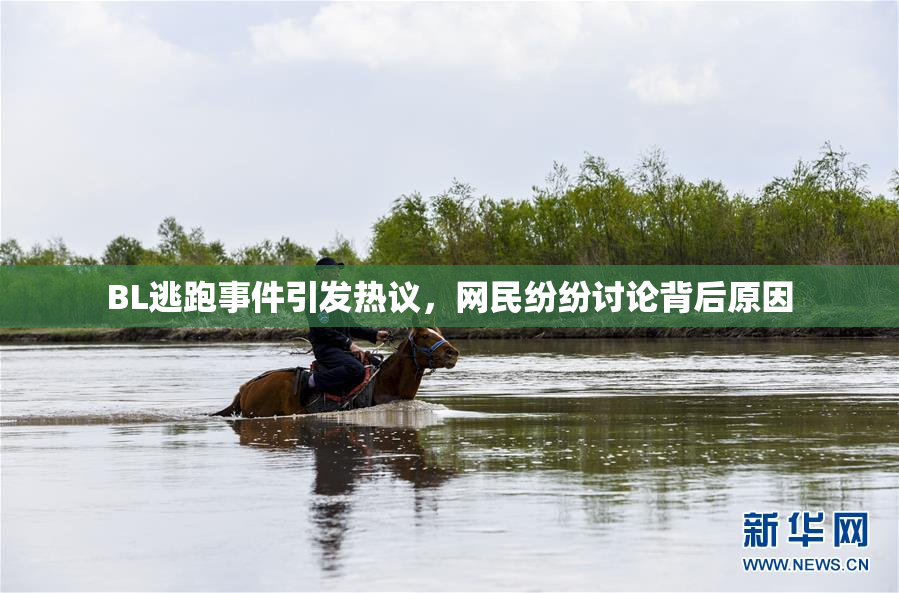 BL逃跑事件引发热议，网民纷纷讨论背后原因