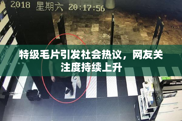 特级毛片引发社会热议，网友关注度持续上升