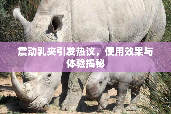 震动乳夹引发热议，使用效果与体验揭秘