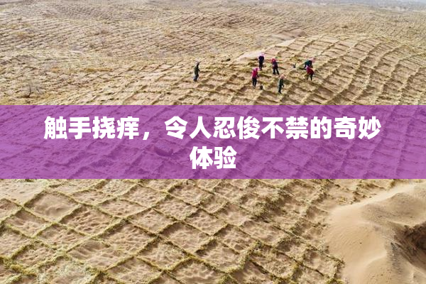 触手挠痒，令人忍俊不禁的奇妙体验